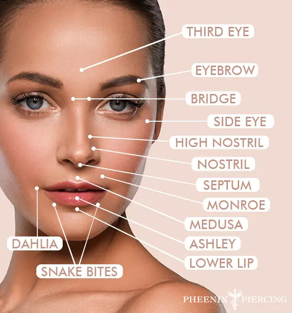 pheenix-piercing-studio-face-diagram
