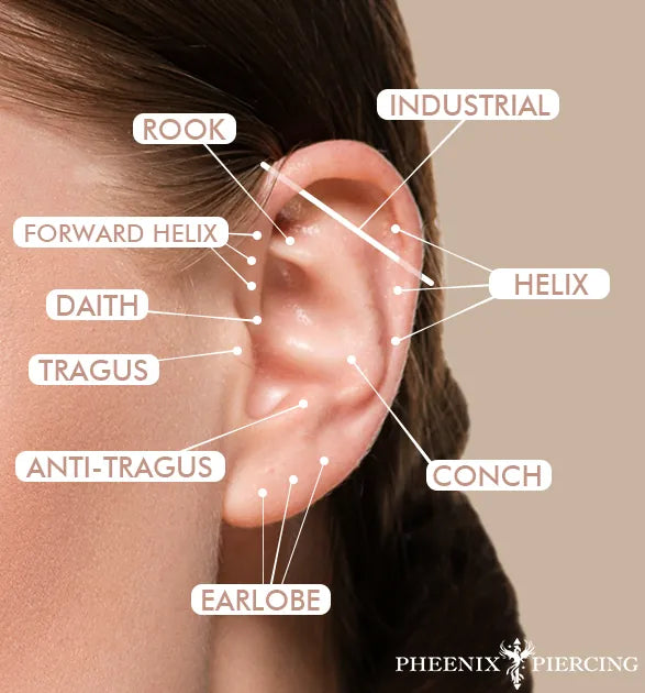 pheenix-piercing-studio-ear-diagram