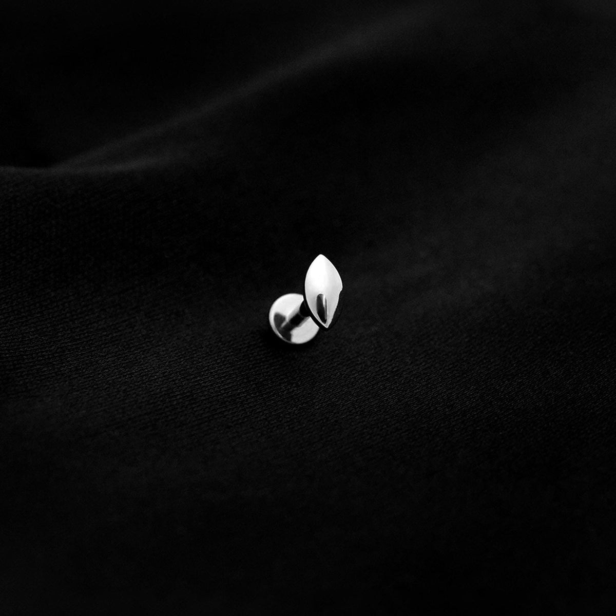 ASTM F136 Implant Grade Titanium Mirror Polish Shell Flatback Labret S ...